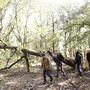 PROJECTION RECOURS AUX FORÊTS